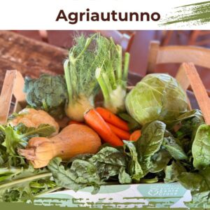 CASSETTA AGRIAUTUNNO