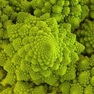 CAVOLO ROMANESCO 1 kg